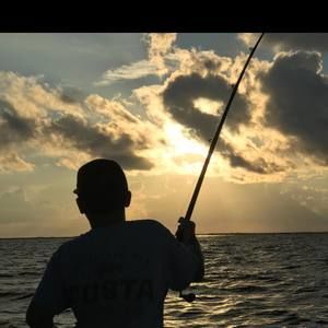 Meet your Posher, Trey